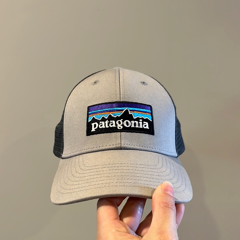 Patagonia baseball hat